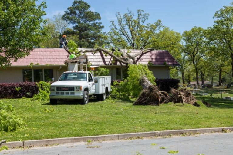 Is Tree Removal Covered by Homeowners Insurance in Painesville, OH?