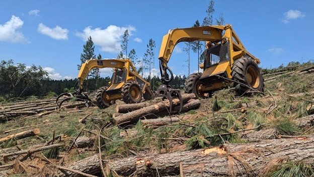 Do Tree Removal Companies in Painesville Offer Free Estimates?